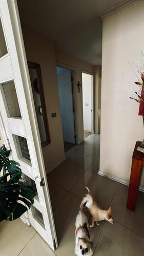 Venta Departamento 3D 2B 2E Centro de Vi&ntilde;a del Mar - Vi&ntilde;a Del Mar