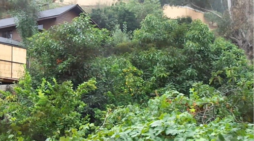 Venta Casa NO 5D 3B 1E 1B Miraflores - Vi&ntilde;a Del Mar