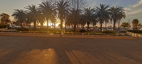 Venta Departamento NP 3D en suite 3B 1E Libertad - Vi&ntilde;a Del Mar