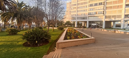 Venta Departamento NP 3D en suite 3B 1E Libertad - Vi&ntilde;a Del Mar