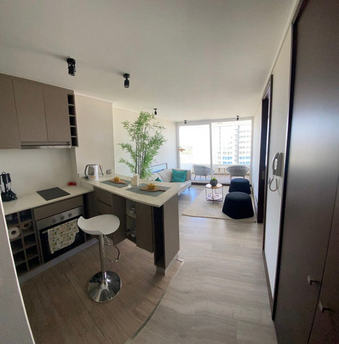 Arriendo Departamento 1D 1B Montemar - Conc&oacute;n